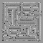 pheee-maze-1560301_1920